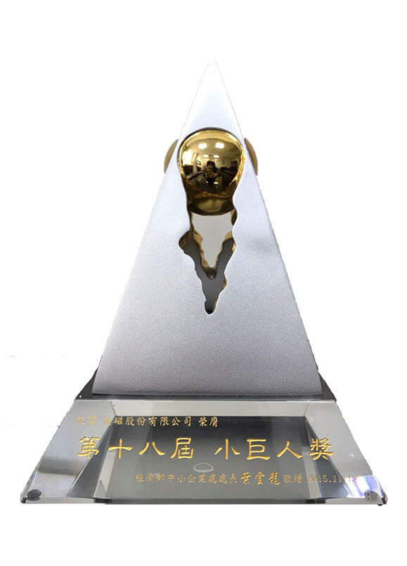 Winner of 18th Rising Star Award