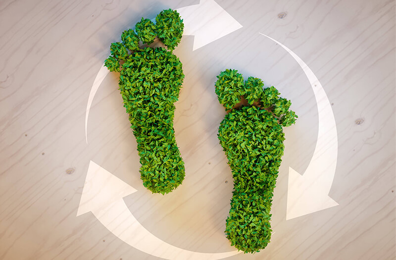 Carbon Footprint